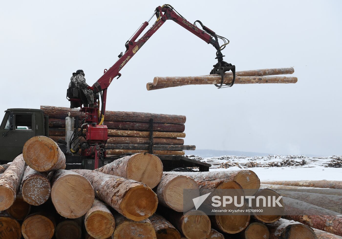 Russia Wood