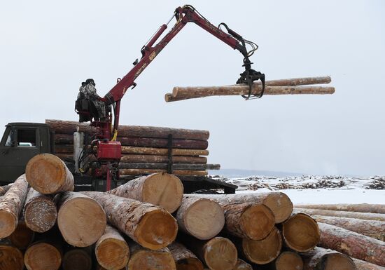 Russia Wood