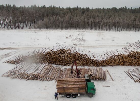 Russia Wood