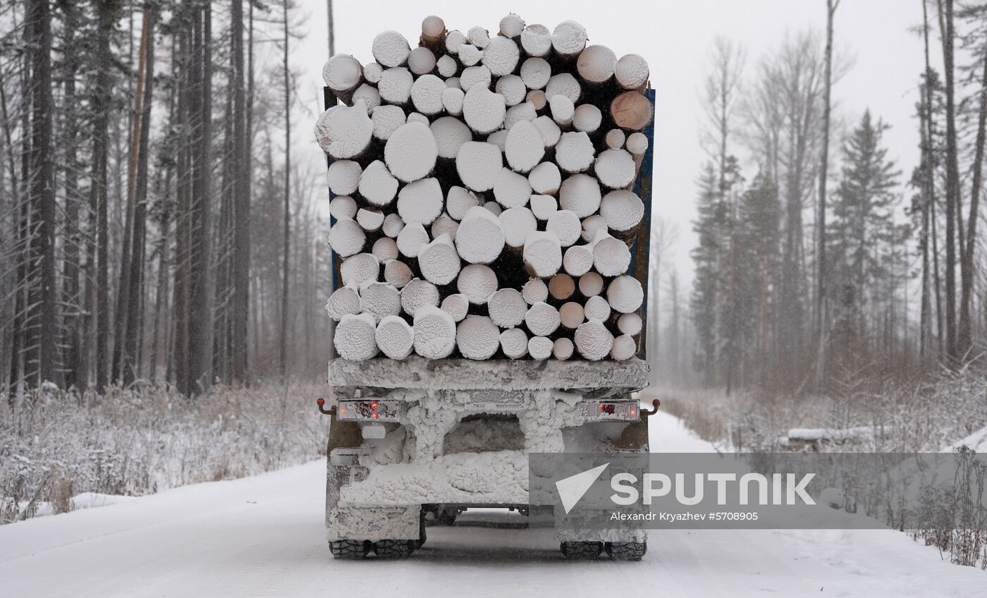 Russia Wood