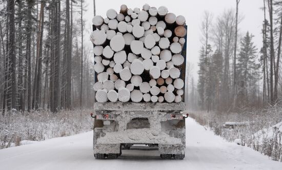 Russia Wood