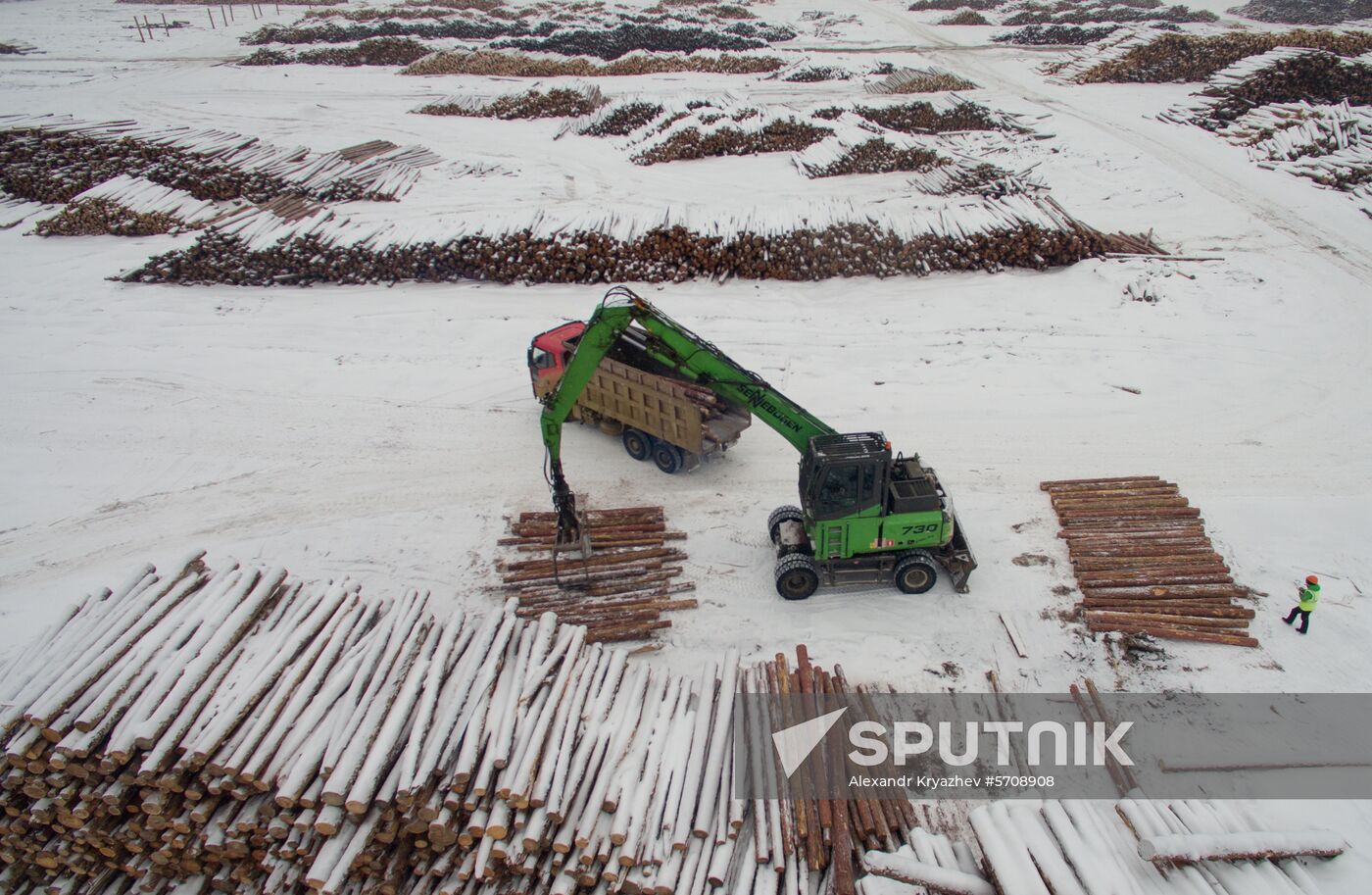 Russia Wood