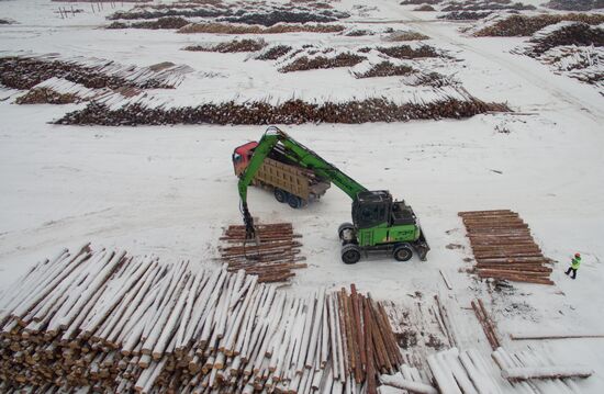 Russia Wood