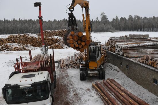 Russia Wood