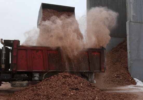 Russia Wood