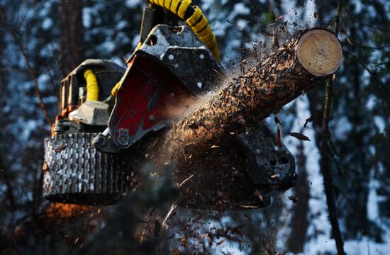 Russia Wood
