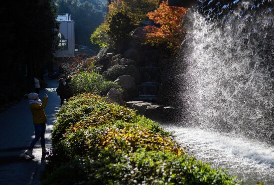 Russia Crimea Japanese Garden