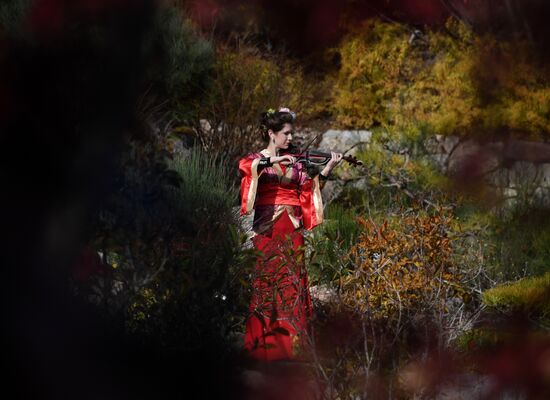 Russia Crimea Japanese Garden