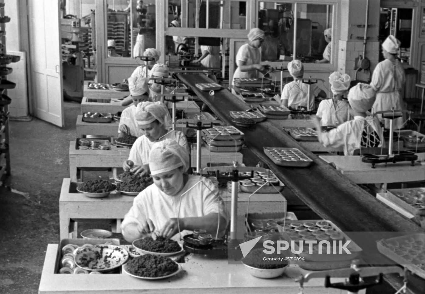 Astrakhan canned fish and refrigeration plant