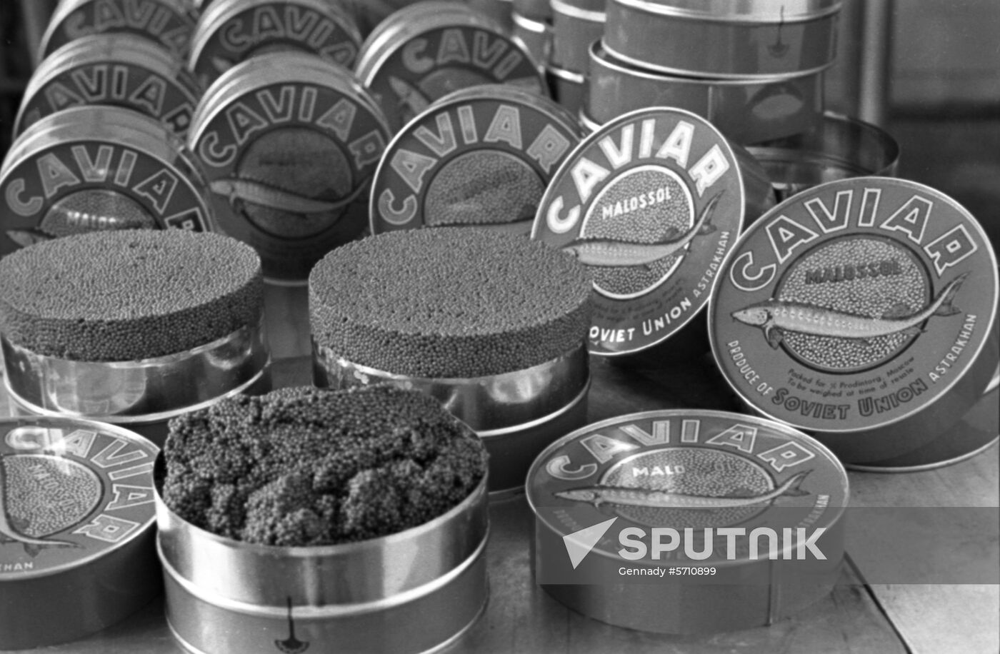 Astrakhan canned fish and refrigeration plant