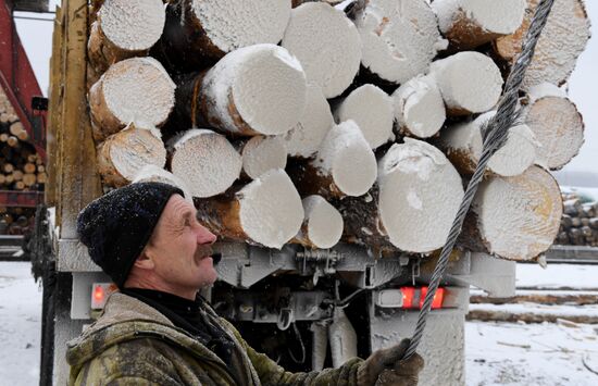 Russia Wood