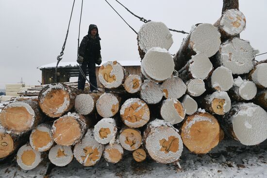 Russia Wood