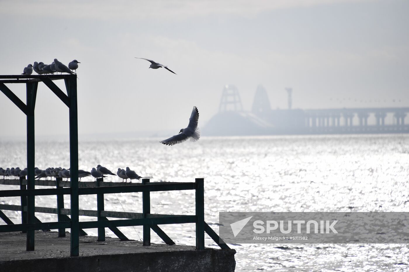 Russia Ukraine Ships