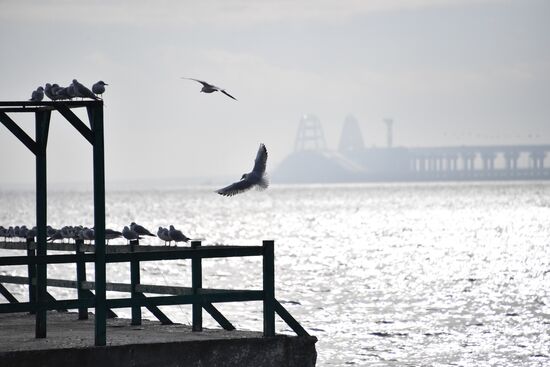 Russia Ukraine Ships