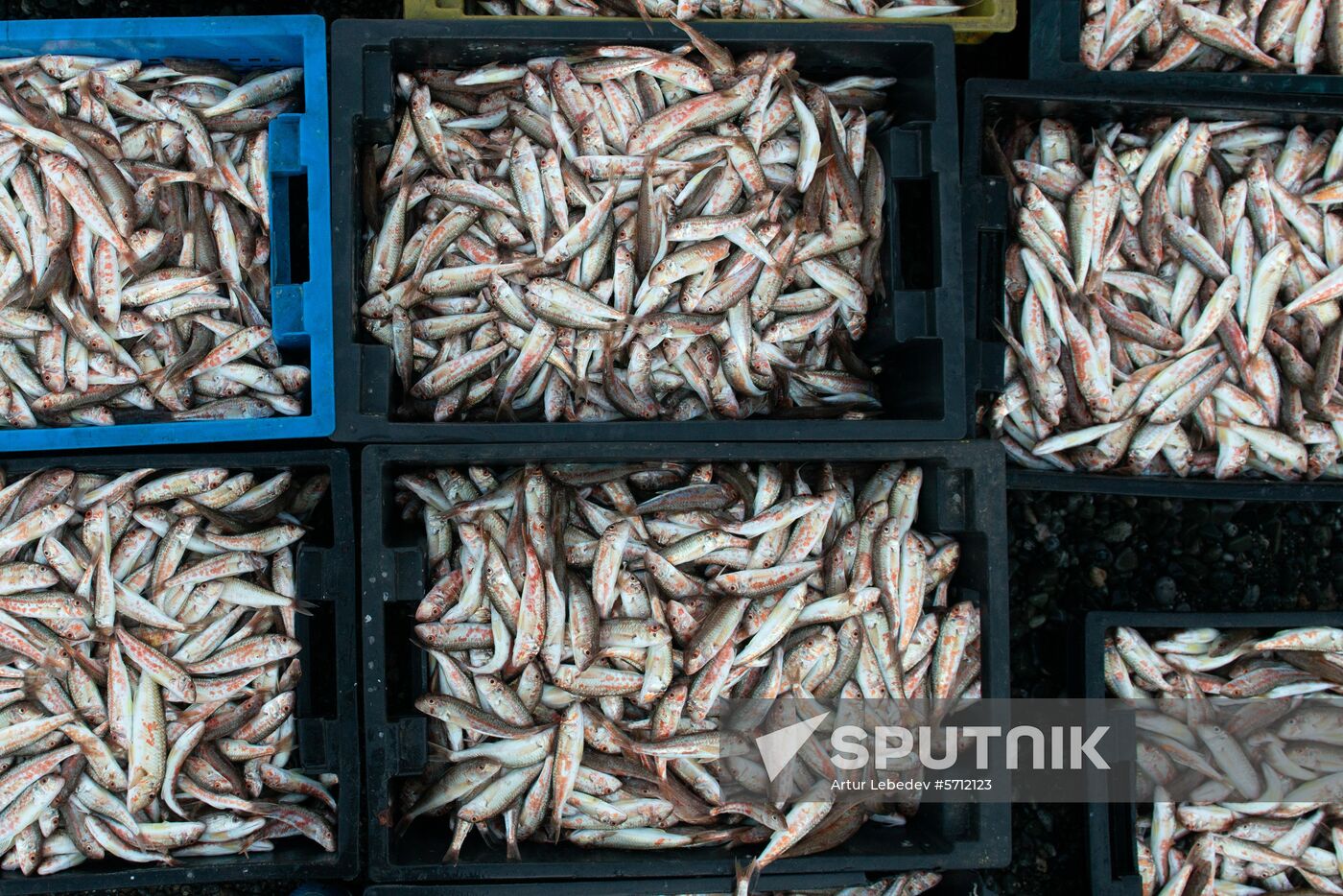 Russia Fishing