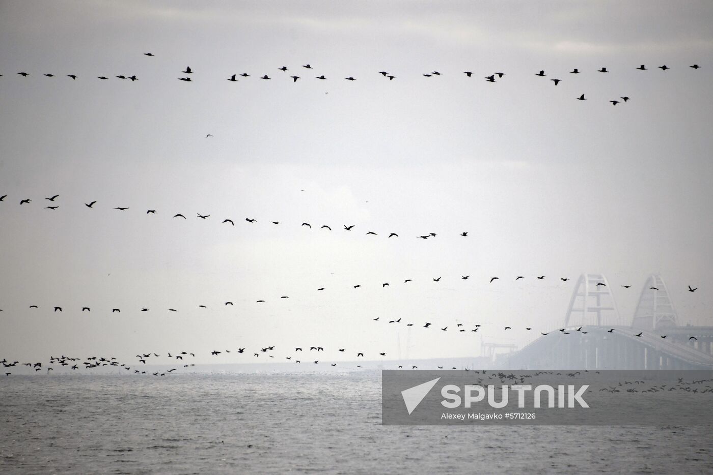 Russia Ukraine Ships