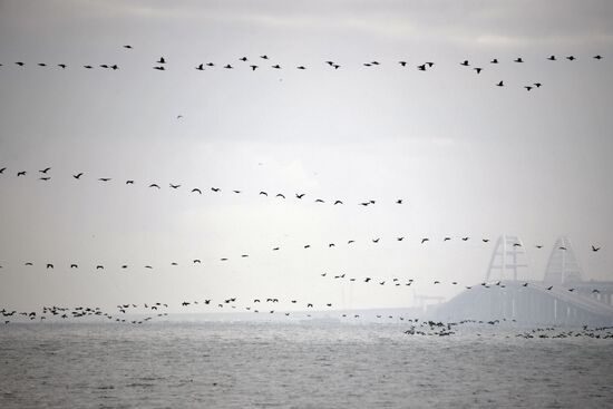 Russia Ukraine Ships