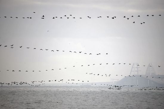Russia Ukraine Ships