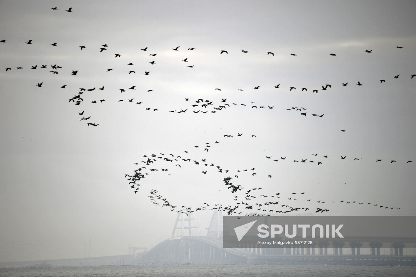 Russia Ukraine Ships