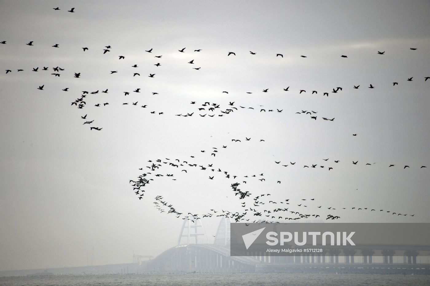 Russia Ukraine Ships