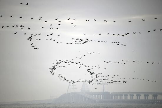 Russia Ukraine Ships