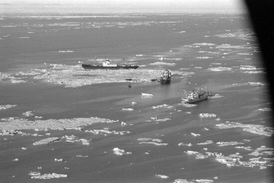 Wrangel Island