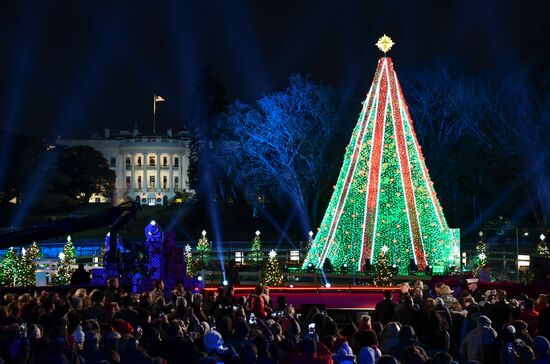 US Christmas Tree