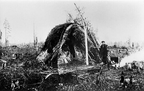 Bolshevik collective farm in Vladimir Region
