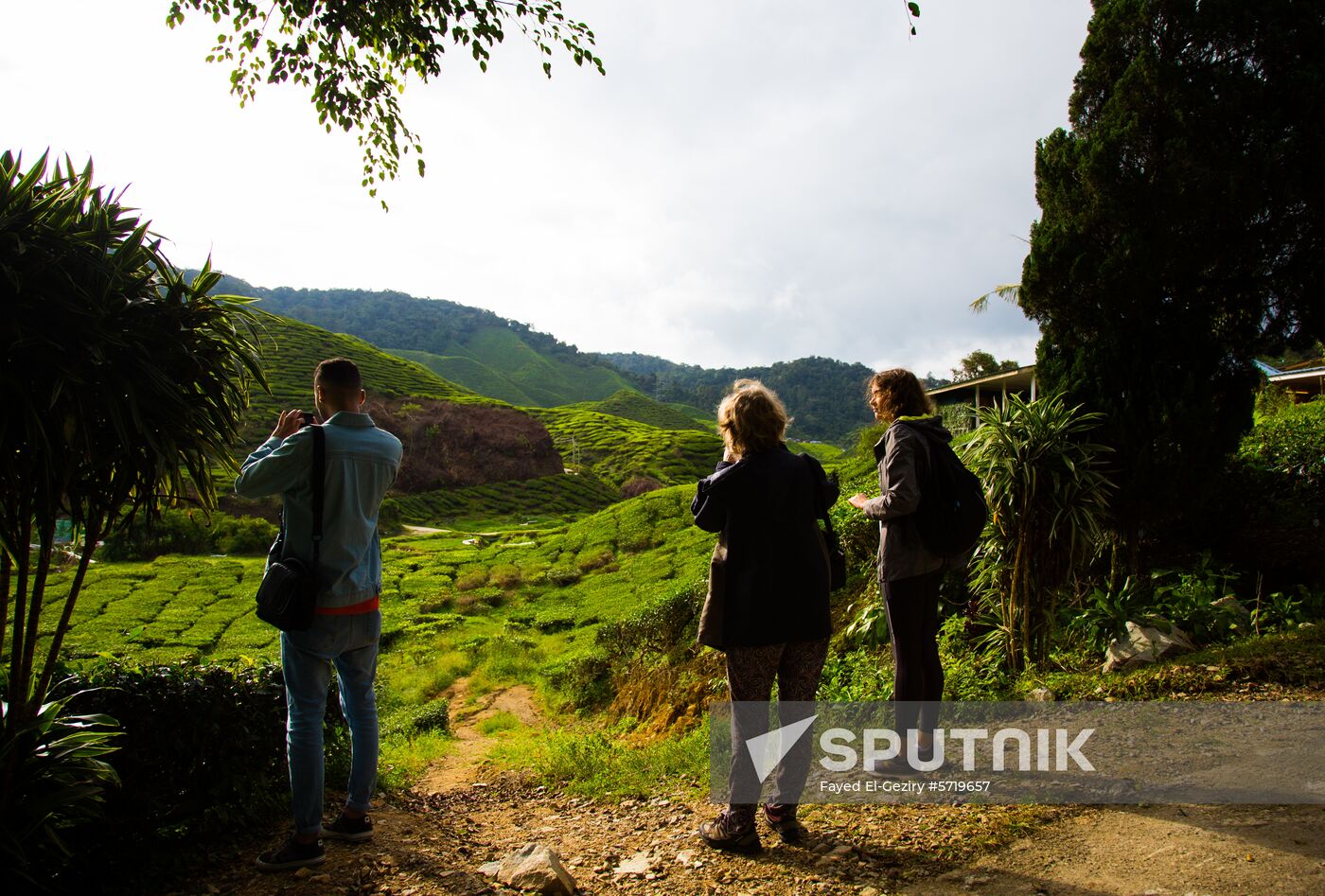 Malaysia Cameron Highlands