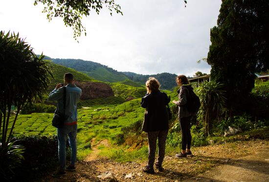Malaysia Cameron Highlands