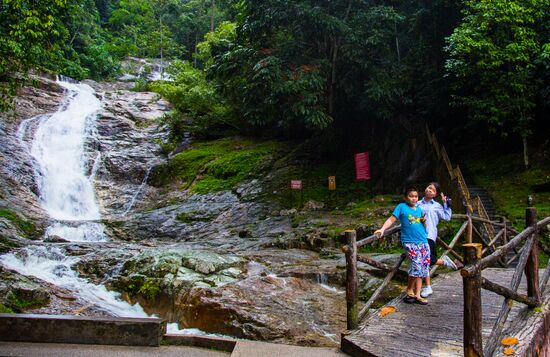Malaysia Cameron Highlands