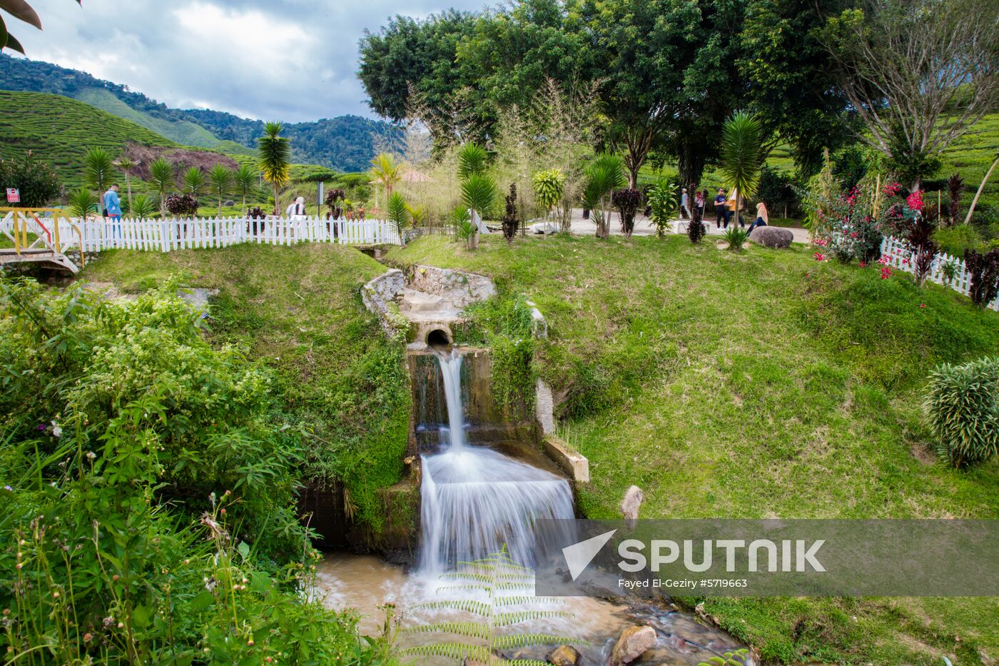 Malaysia Cameron Highlands