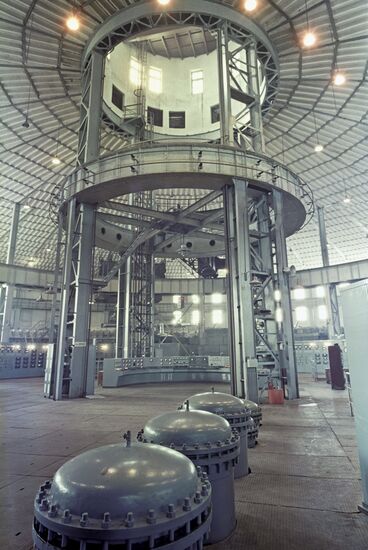 Joint Institute for Nuclear Research