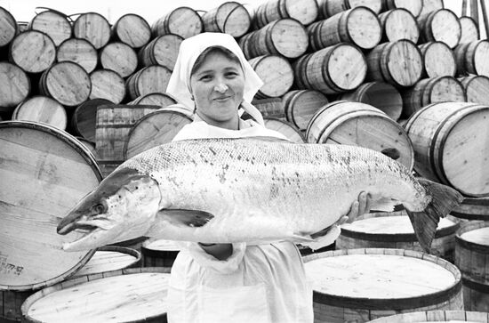 Fish processing company in Arkhangelsk Region