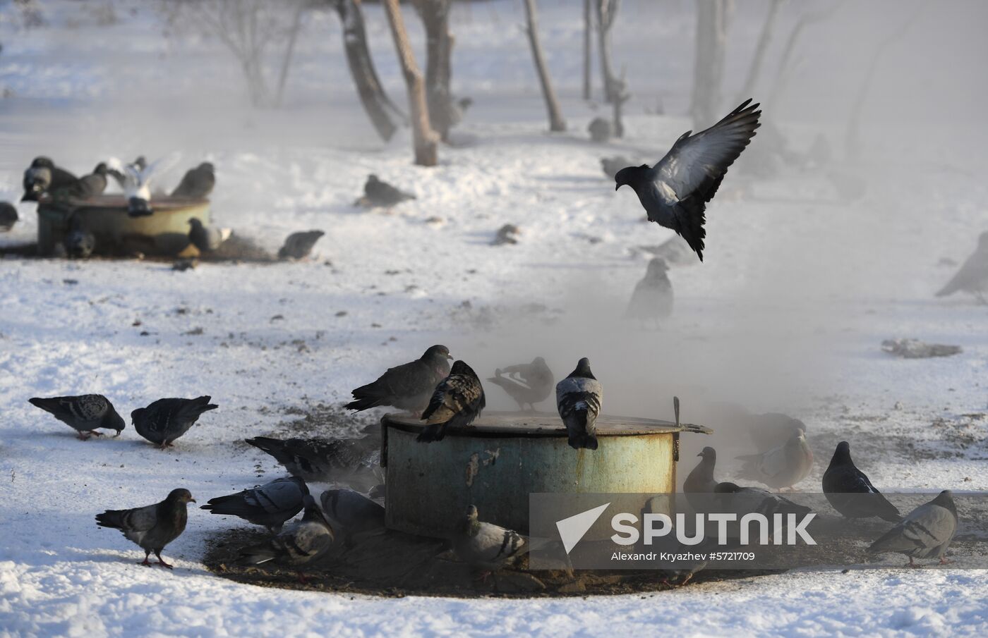 Russia Weather