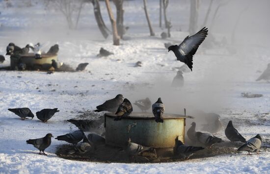 Russia Weather 