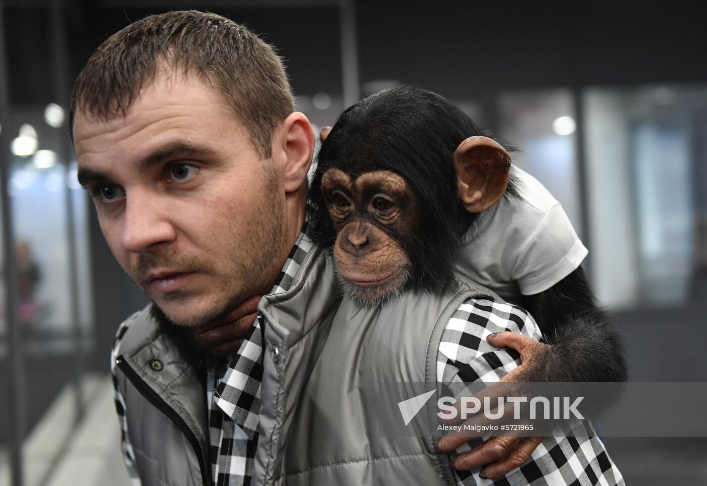 Russia Crimea Zoo