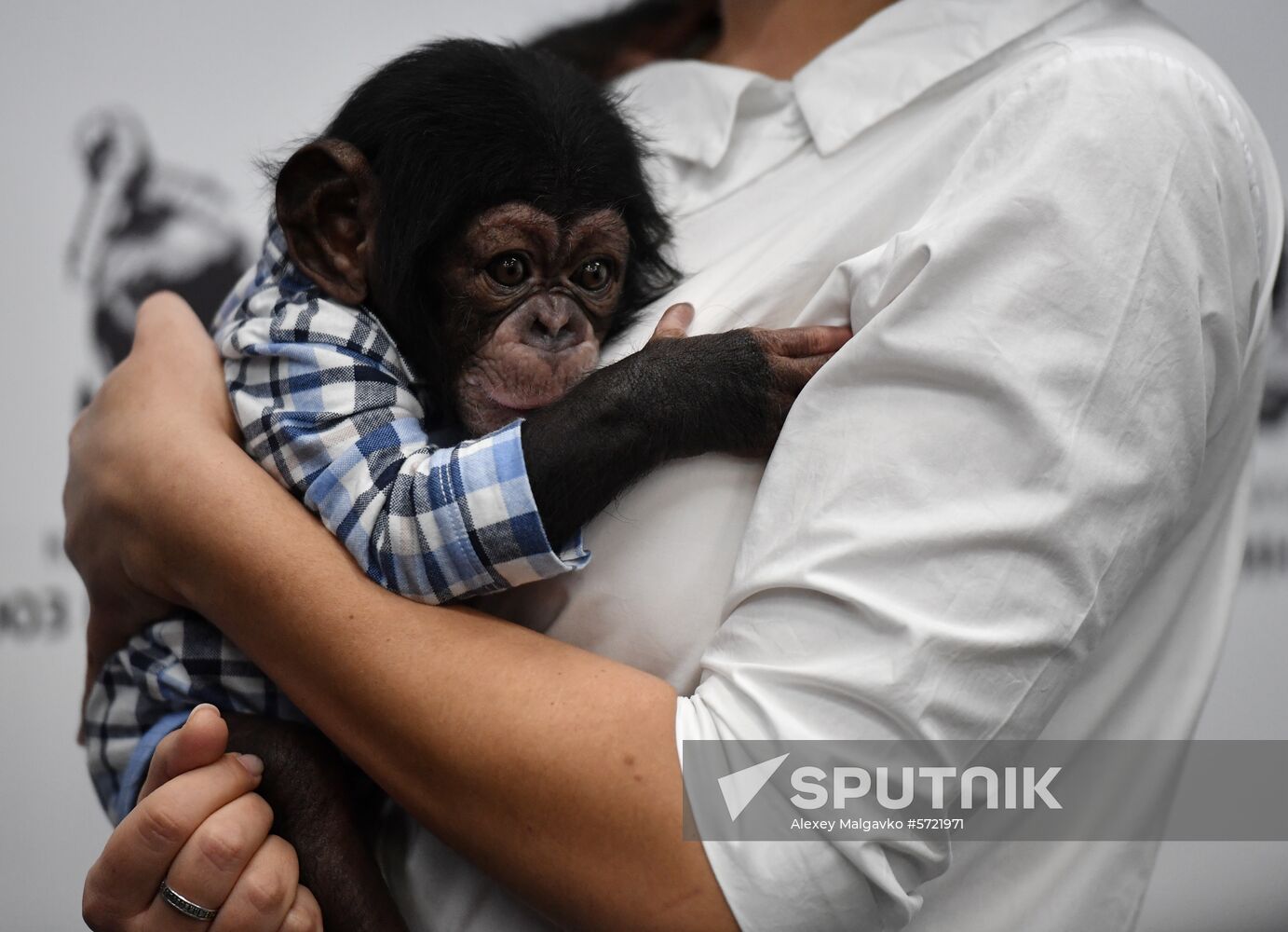 Russia Crimea Zoo