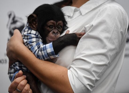 Russia Crimea Zoo