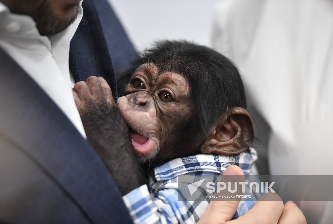 Russia Crimea Zoo