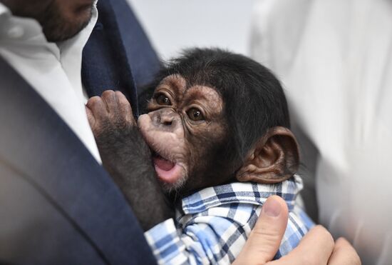 Russia Crimea Zoo