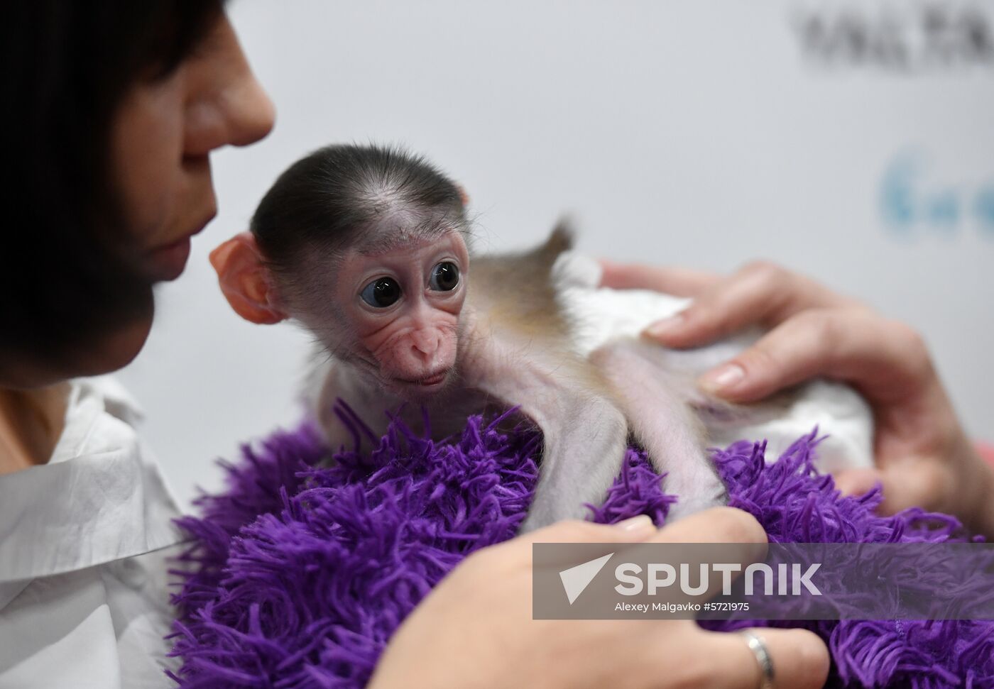 Russia Crimea Zoo