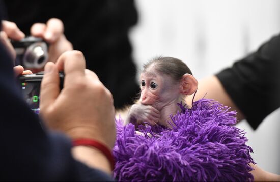 Russia Crimea Zoo