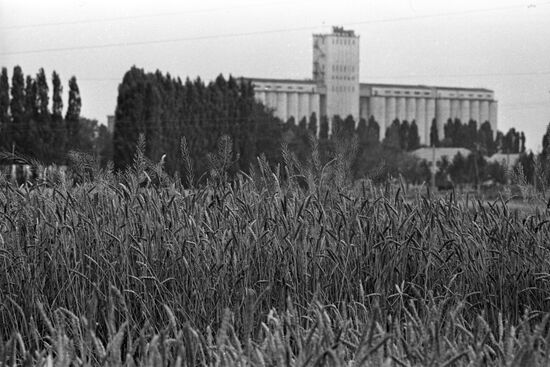 Grain elevator in Kurganinsky District of Krasnodar Territory