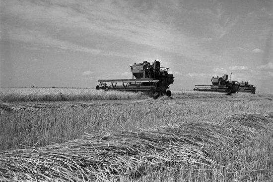 Siberian Research Institute of Agriculture