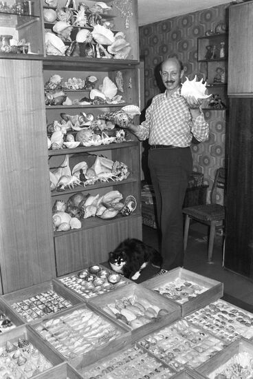 Seashell collector