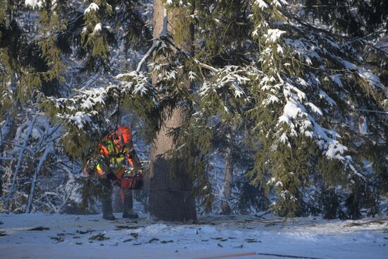 Russia New Year Preparations