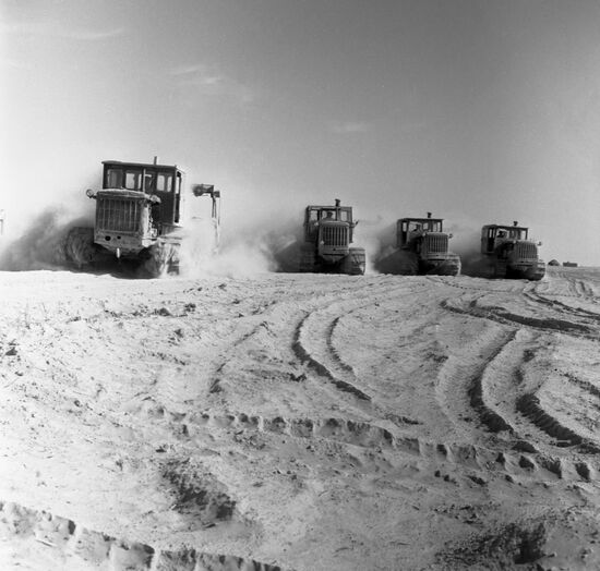 Plowing up cotton field