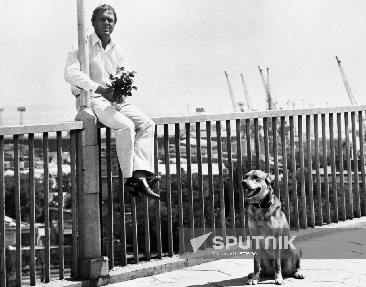 Solyony Pys (Salty Dog)