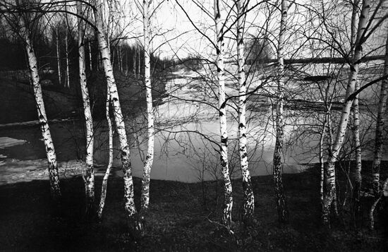 Spring in Konstantinovo